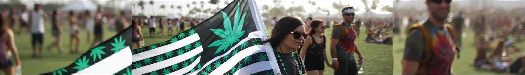 Summer Music Festivals and Cannabis: A Harmonious Relationship