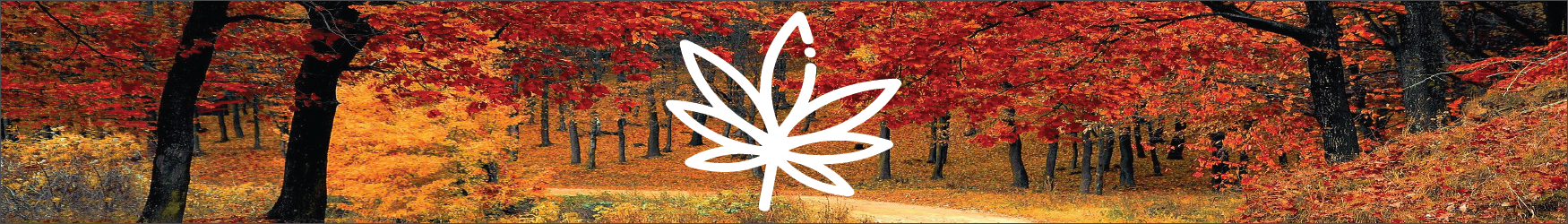 Cannabis and Fall Wellness: Lighting up the Autumn Blues